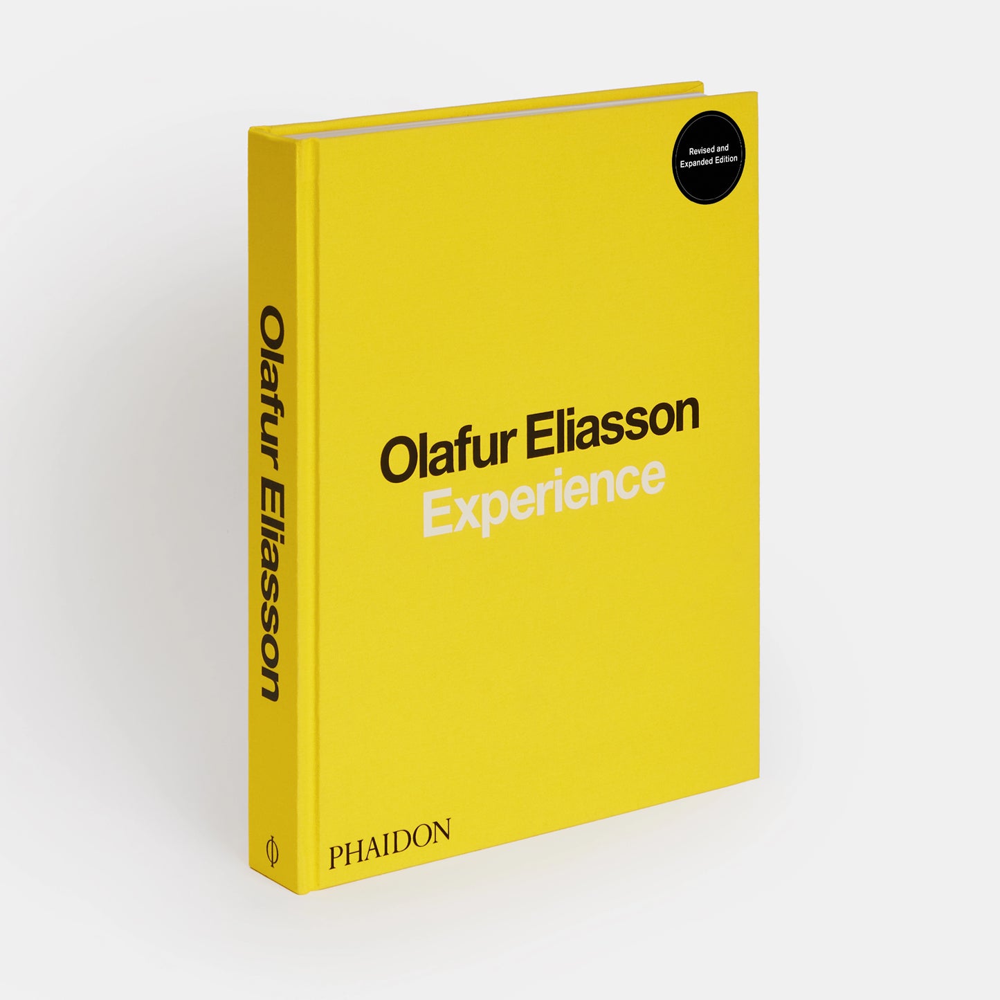 Eliasson, Experience