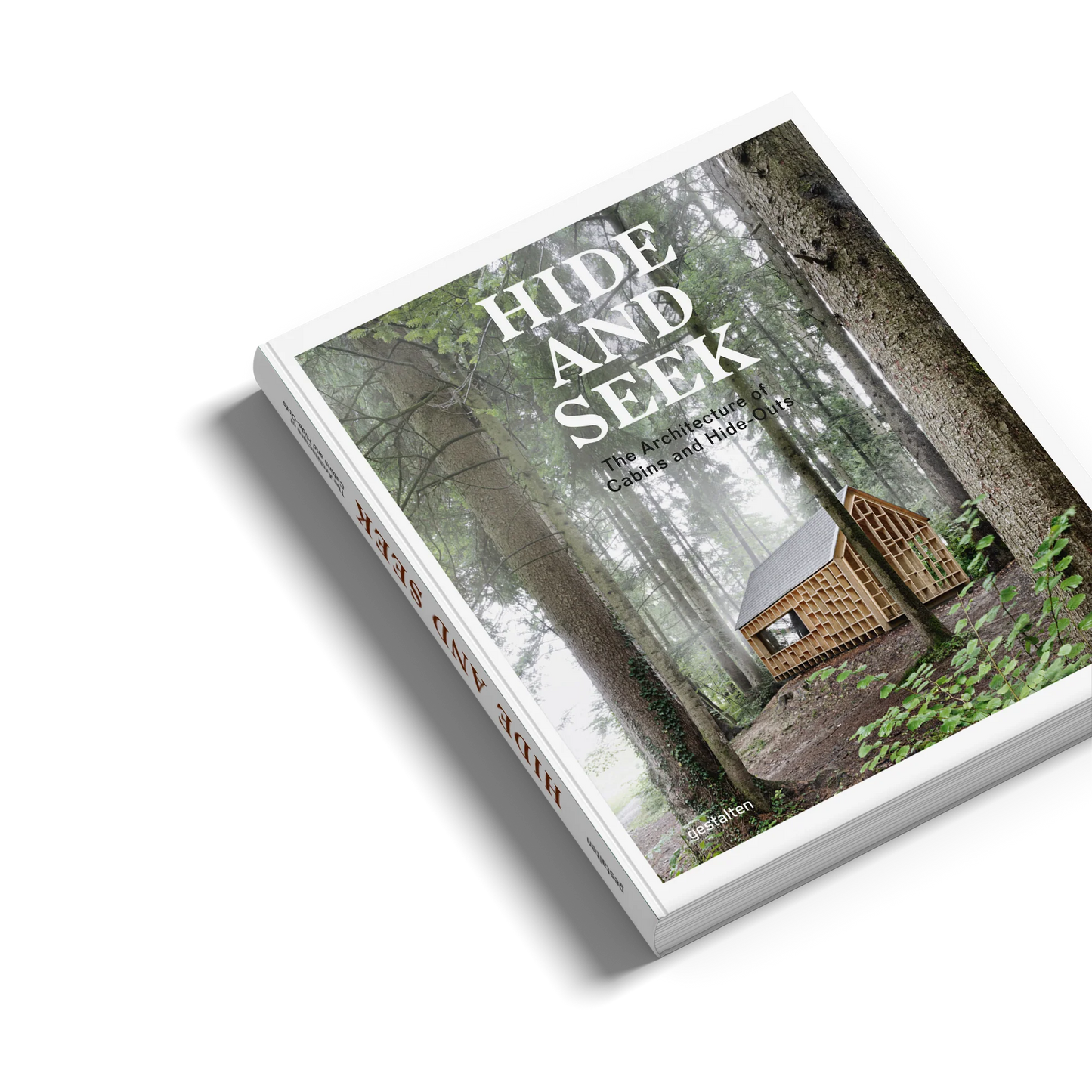 Hide and Seek