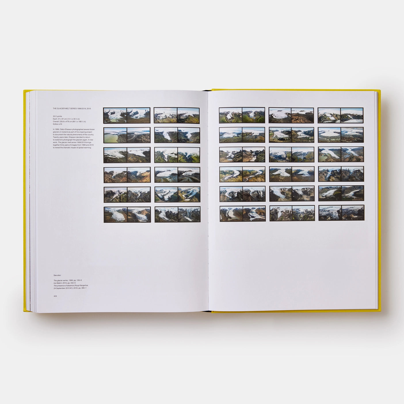Eliasson, Experience